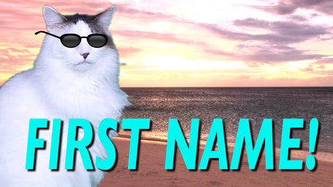 EPIC CAT *FIRST NAME* Custom Happy Birthday Video